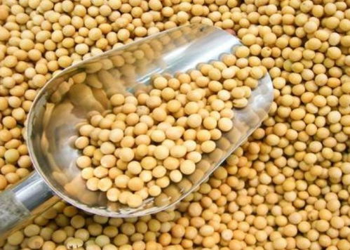 寧波進(jìn)口食品排行榜揭曉 水產(chǎn)品榮登榜首，吃貨最愛一覽